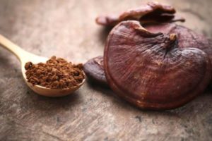 The Most Powerful Mushrooms For Immune Health
